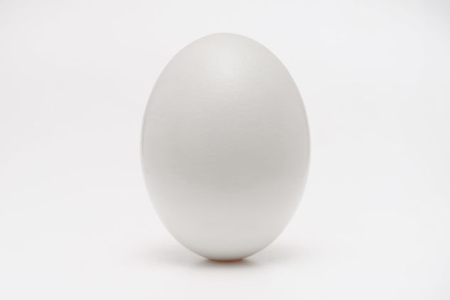 Picture of Egg